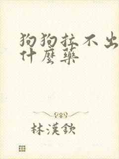 狗狗拉不出尿吃什么药