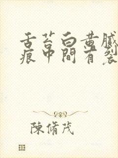 舌苔白黄腻有齿痕中间有裂纹