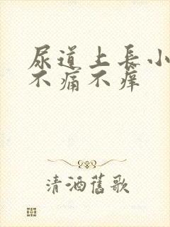 尿道上长小水泡不痛不痒