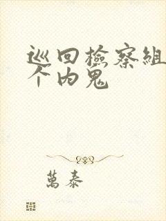 巡回检察组剧8个内鬼