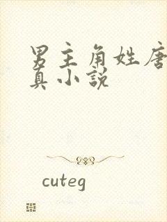 男主角姓唐的修真小说