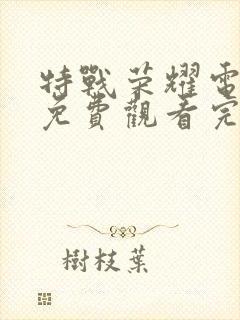 特战荣耀电视剧免费观看完整版