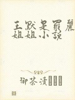 王默是罗丽的亲姐姐小说