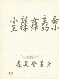 小说女主乔念男主林烨的小说封面