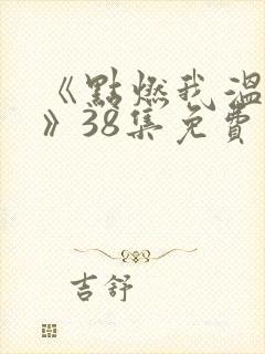 《点燃我温暖你》38集免费观看