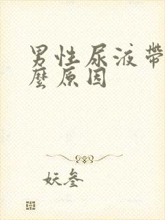 男性尿液带血什么原因