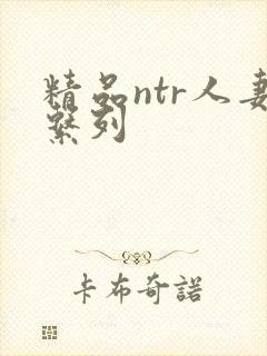 精品ntr人妻系列