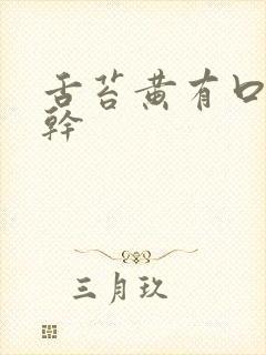 舌苔黄有口臭口干