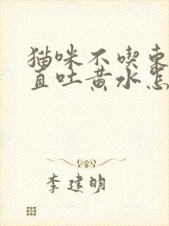 猫咪不吃东西一直吐黄水怎么办