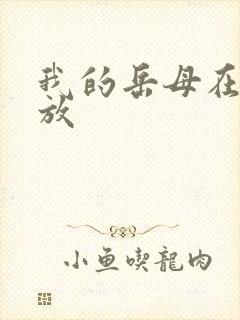 我的岳母在线播放封面