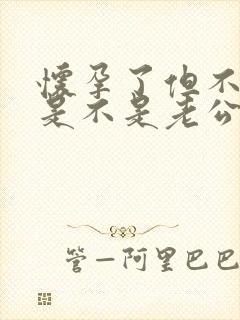 怀孕了但不知道是不是老公的封面