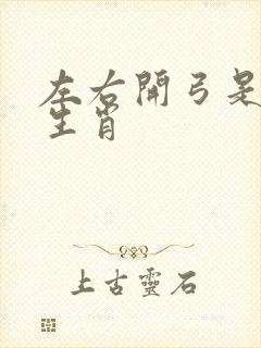 左右开弓是什么生肖封面