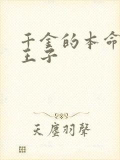 千金的本命是恶王子封面