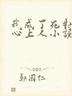 我成了死对头的心上人小说