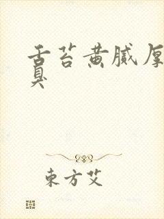 舌苔黄腻厚 口臭