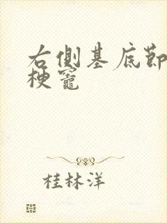 右侧基底节区腔梗灶