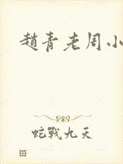 赵青老周小说
