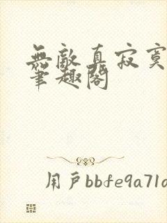 无敌真寂寞小说笔趣阁