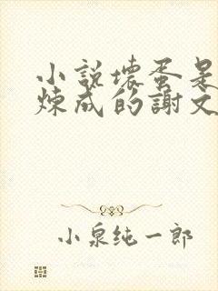 小说坏蛋是怎样炼成的谢文东免费