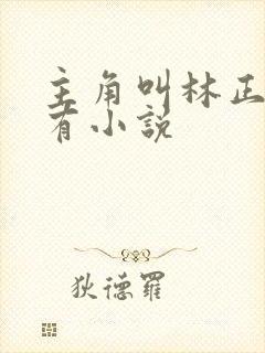 主角叫林正的所有小说