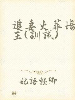 追妻火葬场双男主(训诫)封面