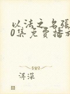 以法之名张译40集免费播放电视剧