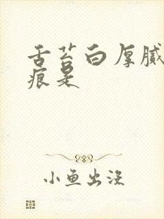 舌苔白厚腻有齿痕是封面