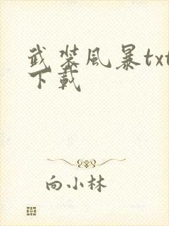武装风暴txt下载封面