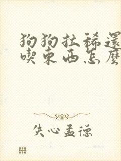 狗狗拉稀还吐不吃东西怎么办