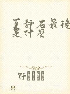 夏静石最后结局是什么