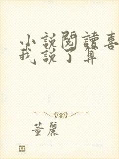 小说阅读喜欢你我说了算