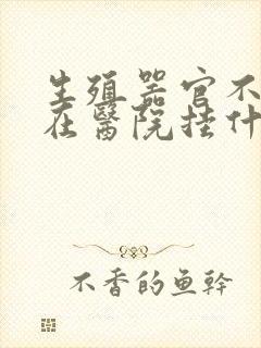 生殖器官不舒服在医院挂什么科