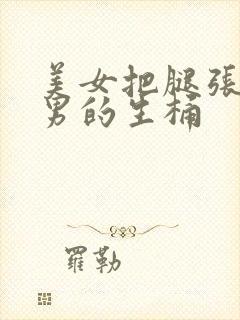 美女把腿张开给男的生桶