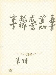 穿越成首长千金下乡当知青