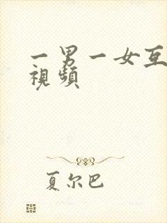 一男一女互操的视频封面