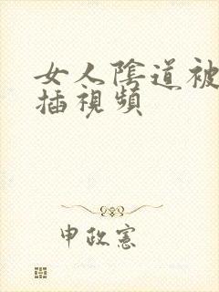 女人阴道被男人插视频