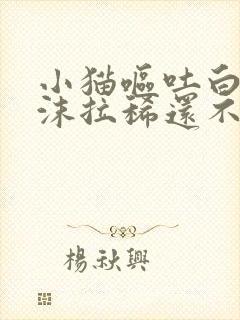 小猫呕吐白色泡沫拉稀还不吃