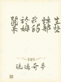 关于我转生为史莱姆的那些事