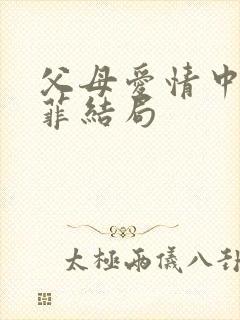 父母爱情中江亚菲结局