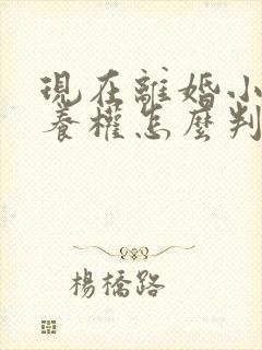 现在离婚小孩抚养权怎么判