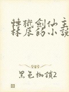 转职剑仙主角叫林辰的小说