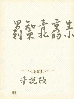 男知青重生下乡到东北的小说