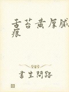 舌苔黄厚腻有齿痕