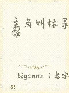 主角叫林寻的小说