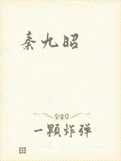 秦九昭封面