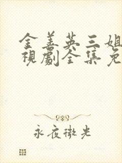 金善英三姐妹电视剧全集免费观看封面