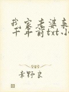 我家老婆来自一千年前txt小说封面