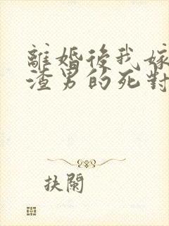 离婚后我嫁给了渣男的死对头