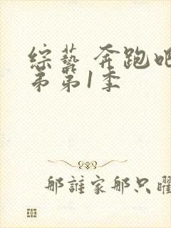 综艺 奔跑吧兄弟第1季