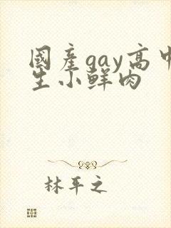 国产gay高中生小鲜肉封面